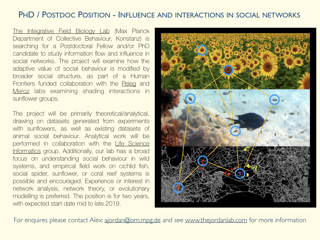 postdoc_ad_2019.001